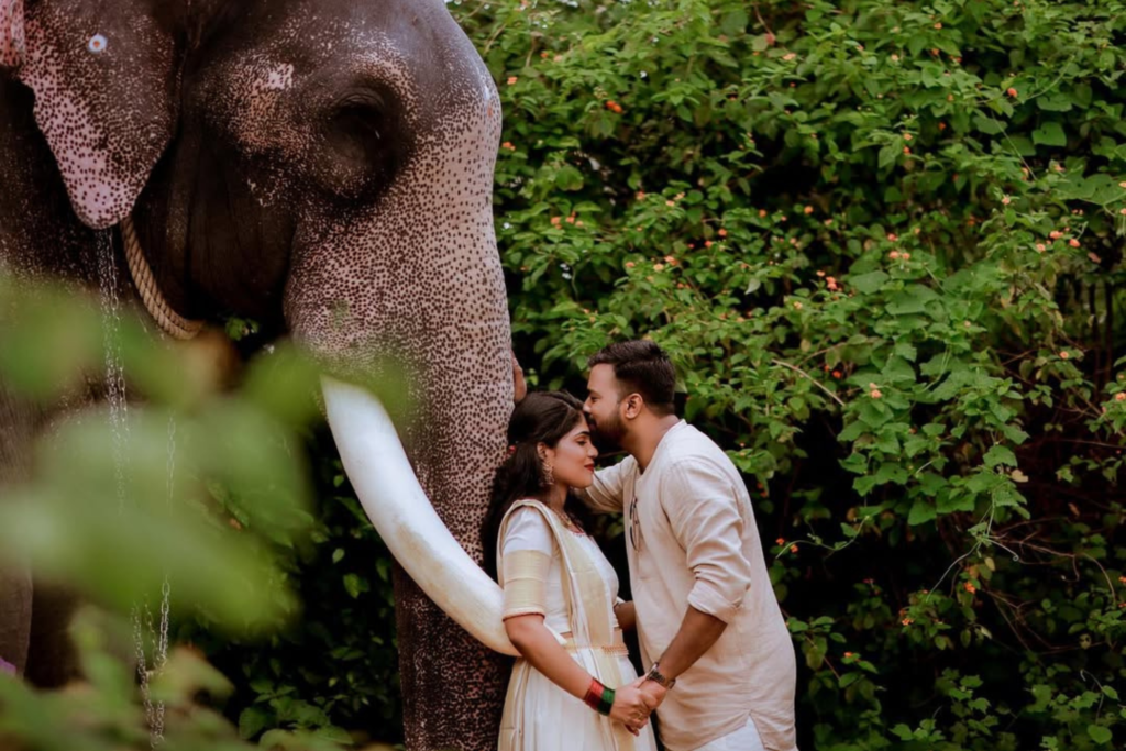 Untitled design (85)